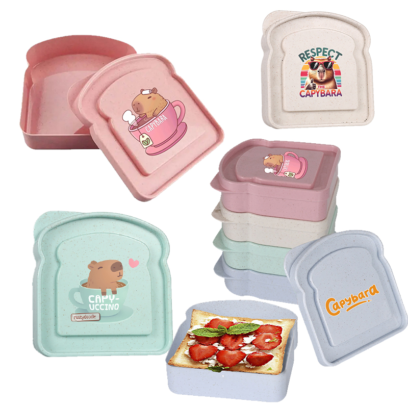 Food Storage With Dividers - Capybara Sandviç Gıda Saklama Kutusu Konteyner